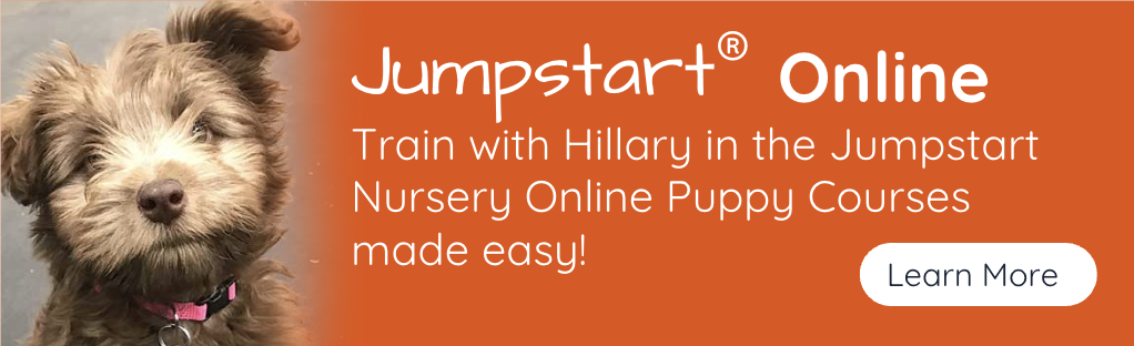 Jumpstart Online